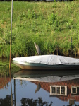 SX29531 Grey Heron (Ardea cinerea) on boat in gracht Breda.jpg